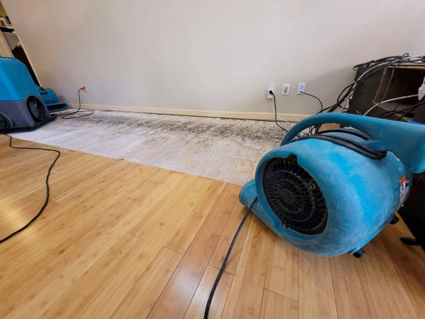Professional Basement Flood Cleanup technician working in Caruthers, CA